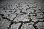 Non reconnaissance de l'état de catastrophe naturelle - sécheresse 2023